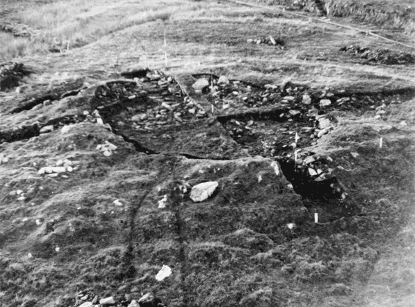 					View Vol. 5 (2003): A Later Prehistoric house and Early Medieval buildings in Northern Scotland: excavations at Loch Shurrery and Lambsdale Leans, Caithness, 1955, with a note on Lower Dounreay
				
