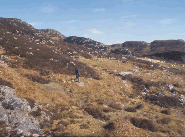 					View Vol. 15 (2005): Early land-use and landscape development in Arisaig
				